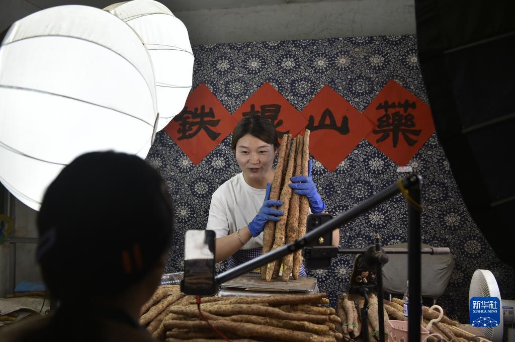 摇钱树高手论坛